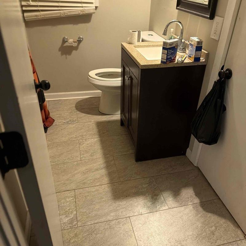Toilet mainline camera inspection in bathroom