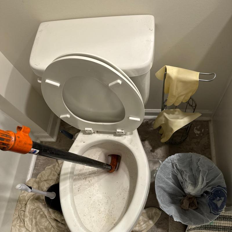 Toilet drain with plunger removing clog