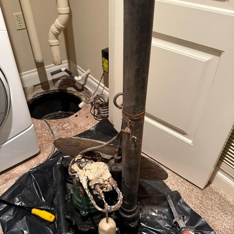 Sump pump removal with corroded float switch near basin Sump pump removal with corroded float switch near basin