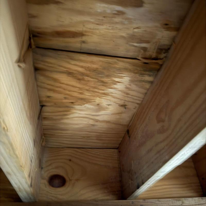 Roof sheathing with water stains and discoloration
