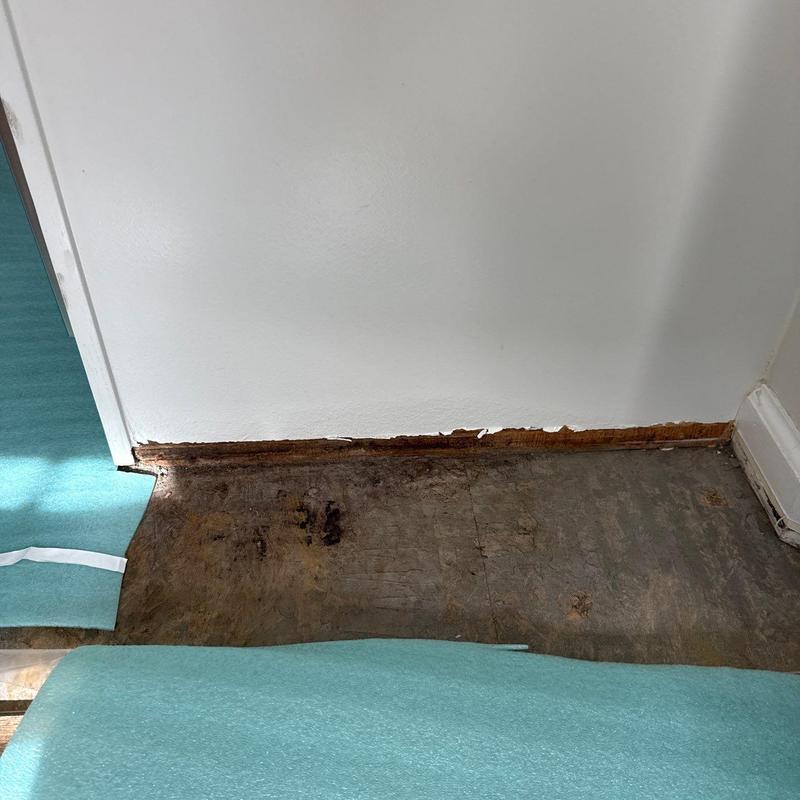Flooring subfloor water damage near baseboard trim