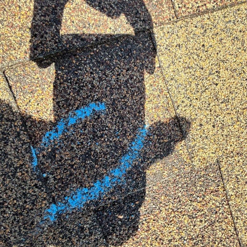Asphalt shingles with blue hail damage markings
