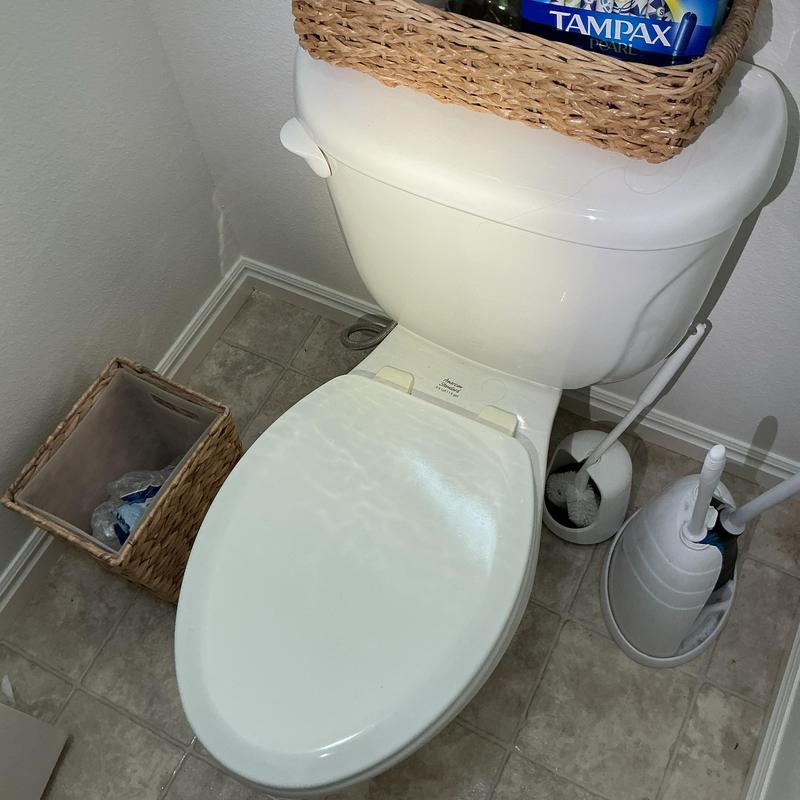 Toilet bowl and tank with cleaning brushes nearby