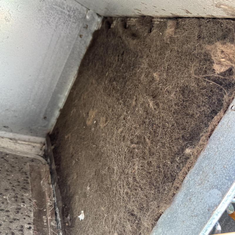 Evaporator coil clogged with dust in package unit