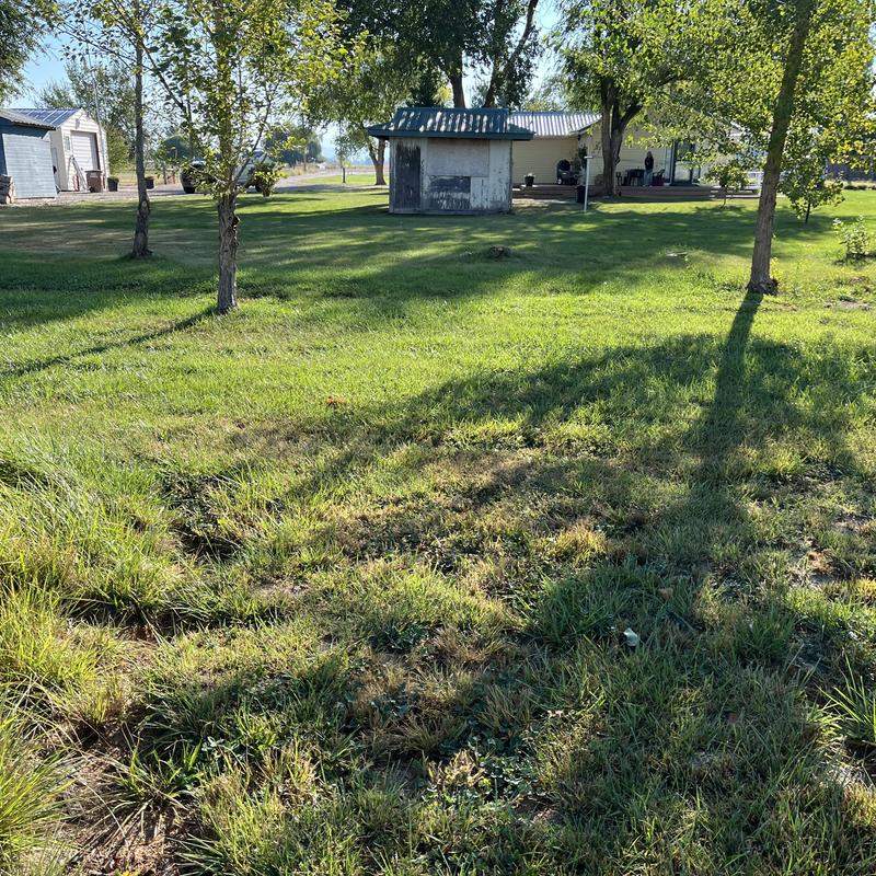 Septic tank outlet piping inspection in yard