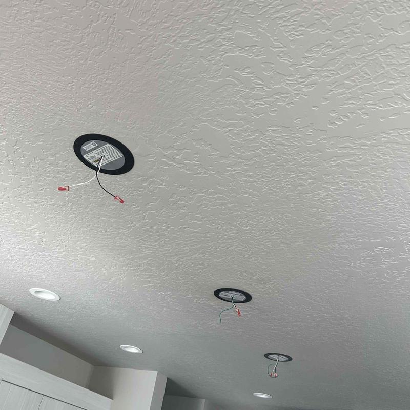 Can to pendant conversion kits with exposed wiring