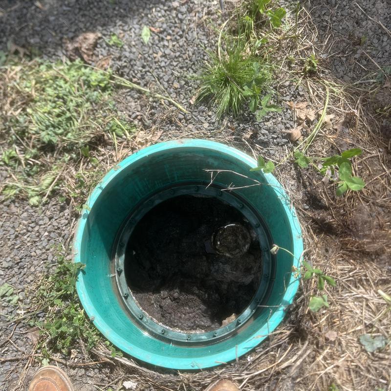 Septic tank pump-out and inspection with flow test