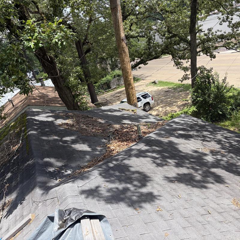 Roof shingles with debris and moss buildup inspection
