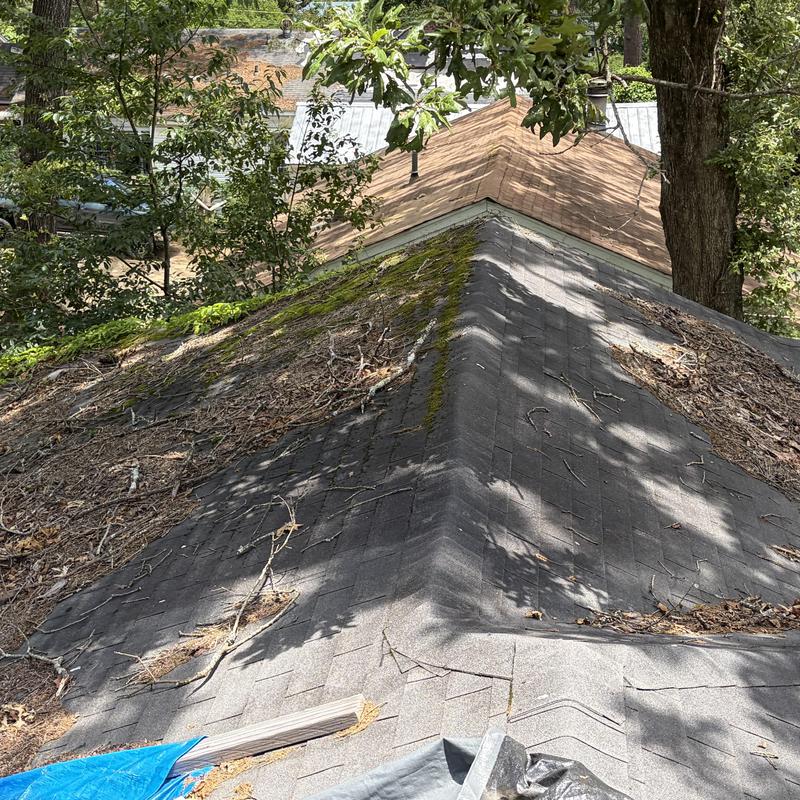 Asphalt shingle roof with moss and debris buildup