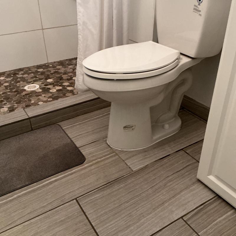 Bathroom toilet reset with shower tile visible