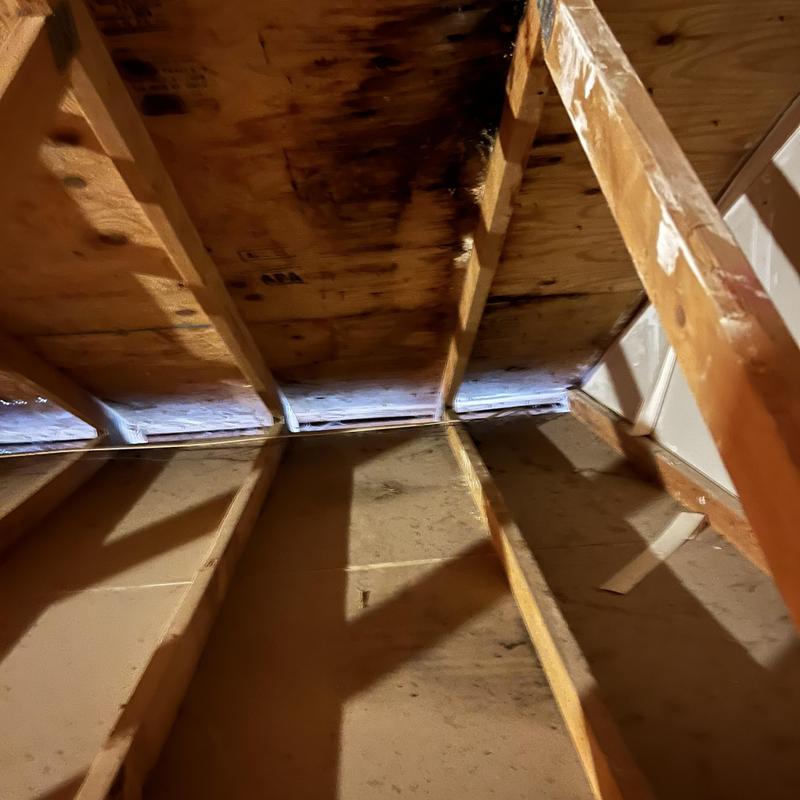Roof sheathing with water damage and light gaps