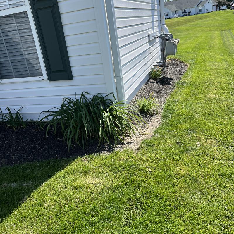 Vinyl siding exterior corner with landscaping bed