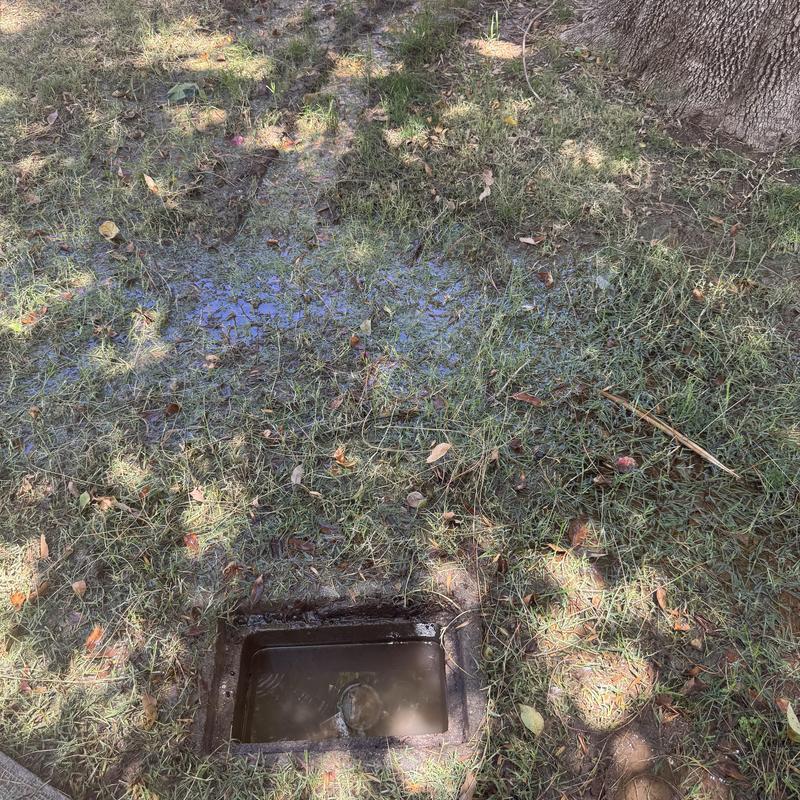 Watermain leak causing yard flooding near tree roots Watermain leak causing yard flooding near tree roots