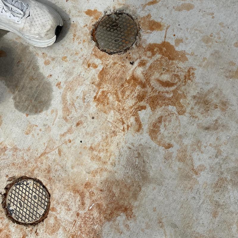 Front cleanout drain covers with rust and debris on concrete Front cleanout drain covers with rust and debris on concrete