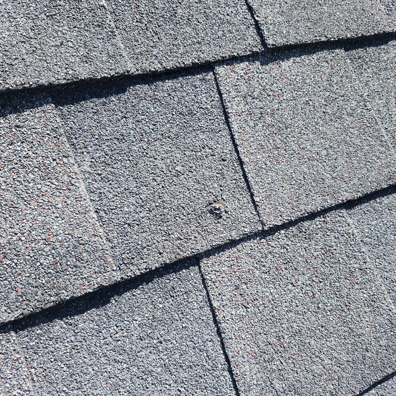 Pewter Gray roof shingles with exposed nail pop Pewter Gray roof shingles with exposed nail pop