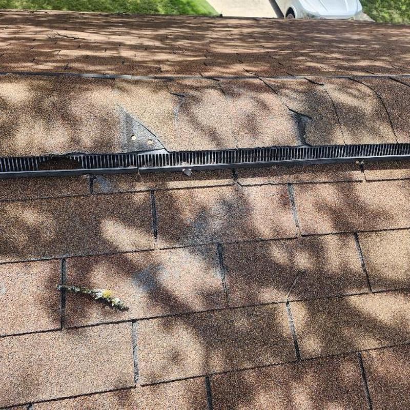 GAF 25-yr Golden Cedar shingles damaged by tree rub GAF 25-yr Golden Cedar shingles damaged by tree rub