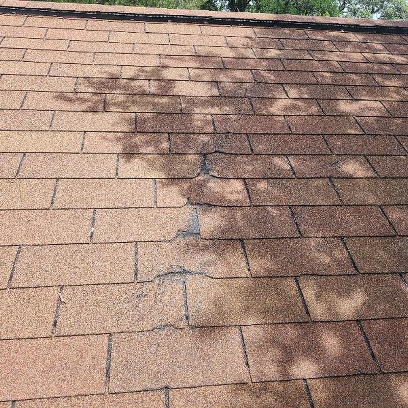 GAF 25-yr Golden Cedar shingles damaged by tree rub GAF 25-yr Golden Cedar shingles damaged by tree rub