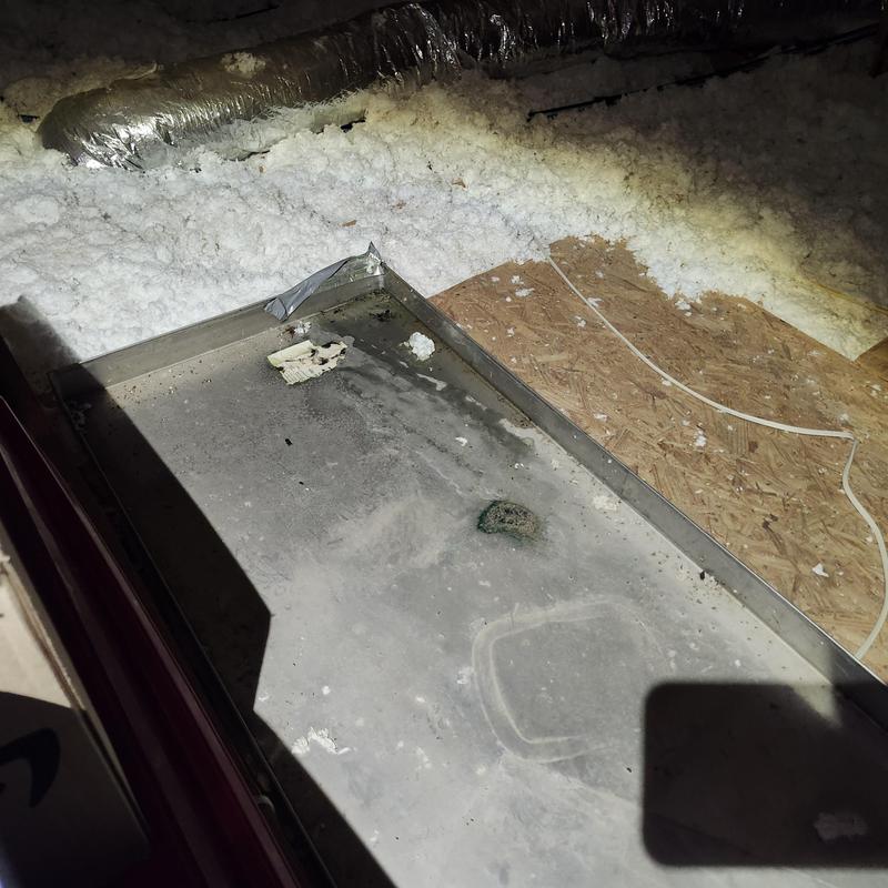 R-Panel 5V crimp valley leak inspection in attic R-Panel 5V crimp valley leak inspection in attic