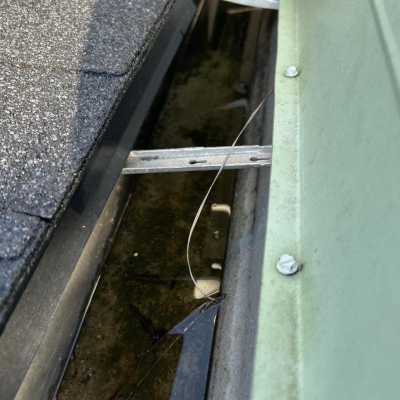 Roof gutter with water buildup and debris inside