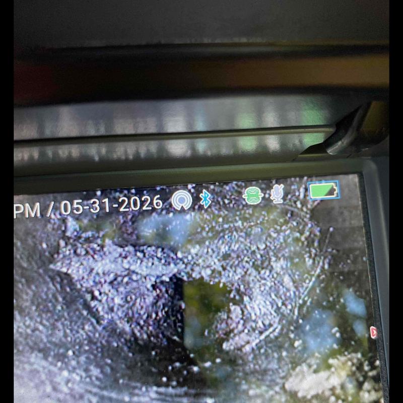 Sewer pipe inspection showing root intrusion blockage