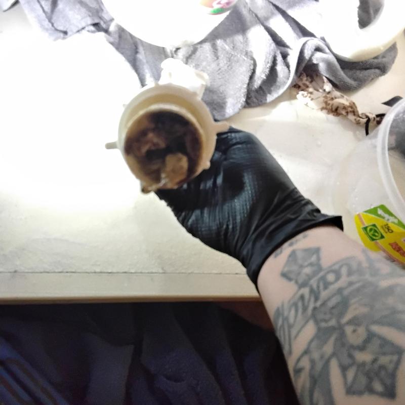 Tubular p-trap clogged buildup removal in plumbing repair