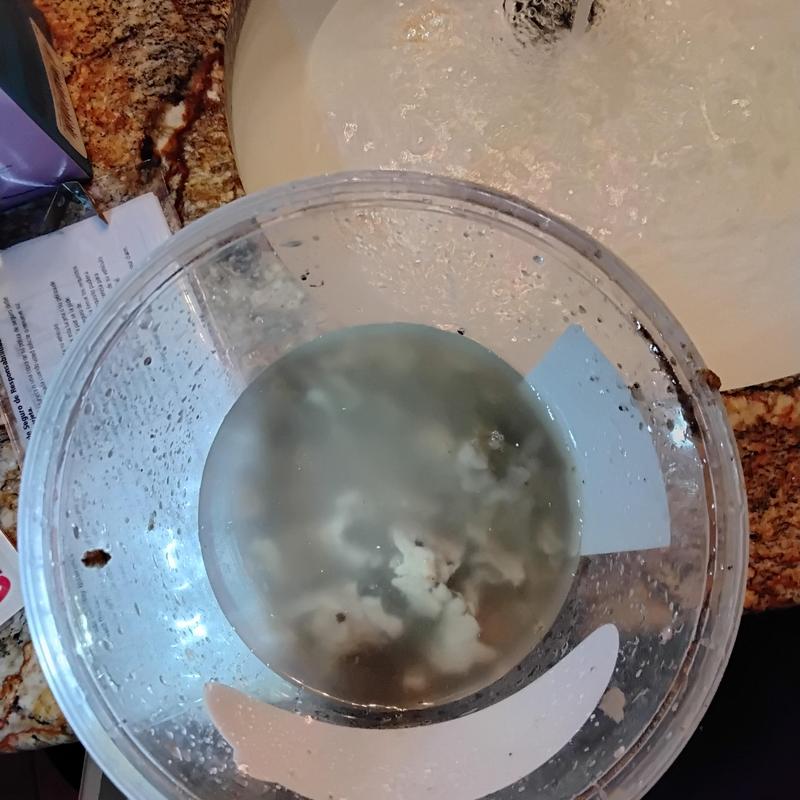 Lavatory sink p-trap with removed buildup in container