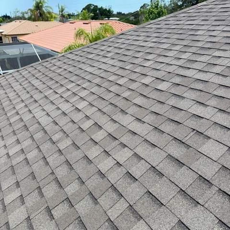 Asphalt shingle roof with visible granule wear and damage Asphalt shingle roof with visible granule wear and damage