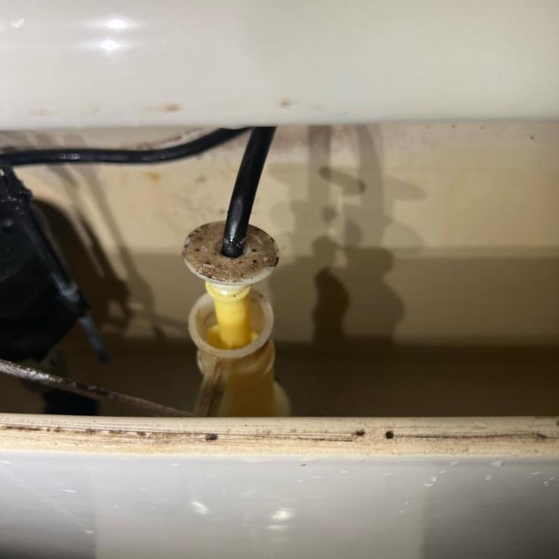 Mansfield flush valve installation with new gasket kit Mansfield flush valve installation with new gasket kit