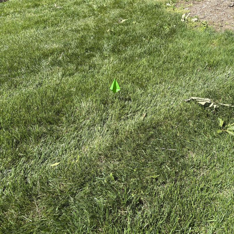 Utility jetting location marked on grassy lawn in Fairfield NJ Utility jetting location marked on grassy lawn in Fairfield NJ