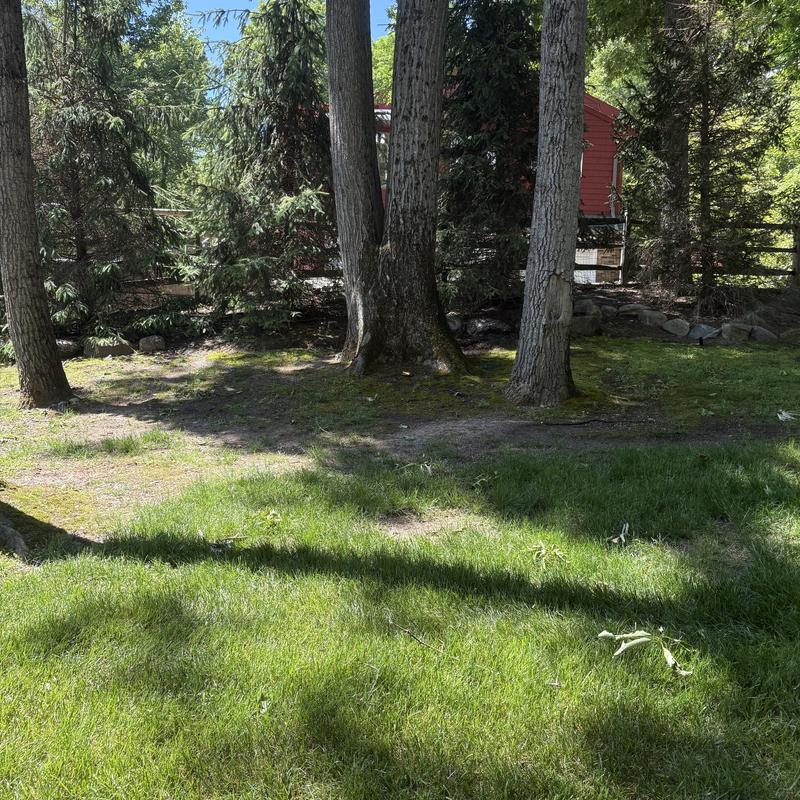Sewer jetting area with trees and grass in backyard Sewer jetting area with trees and grass in backyard