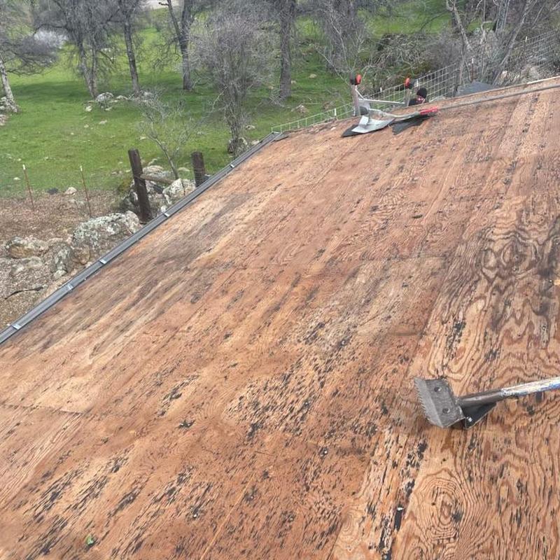 Plywood roof deck stripped of old shingles Sonora CA