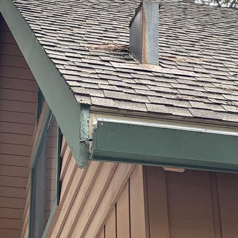 Roof vent and shingle roof with wear and debris