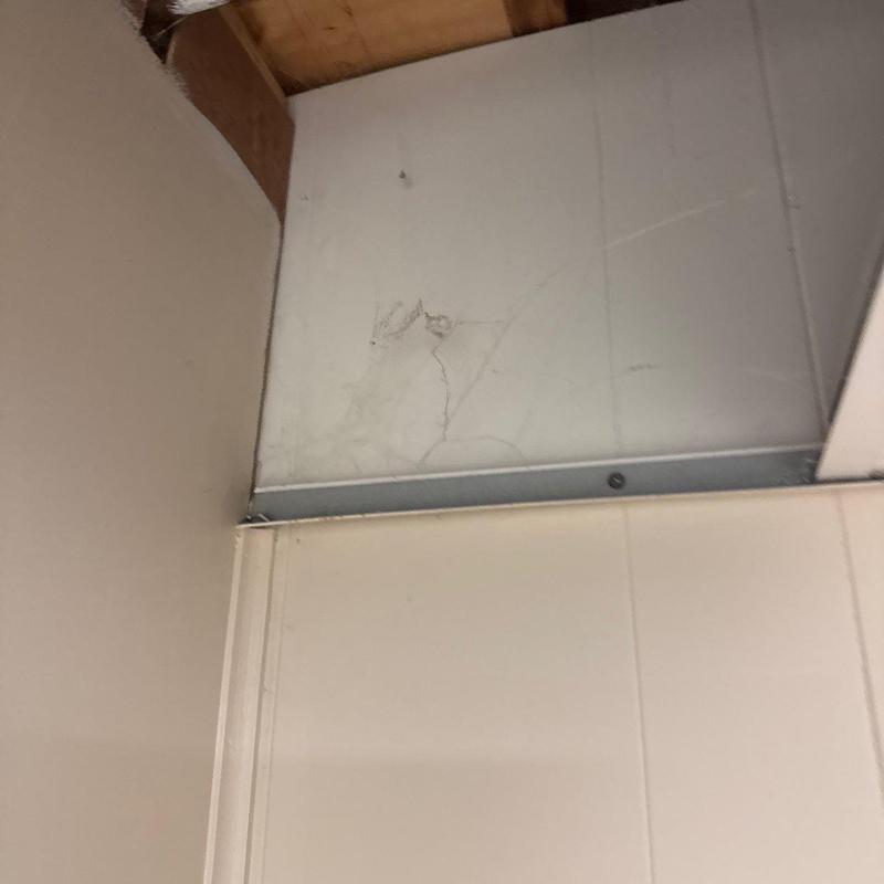 Ceiling panel with water damage and exposed wood above