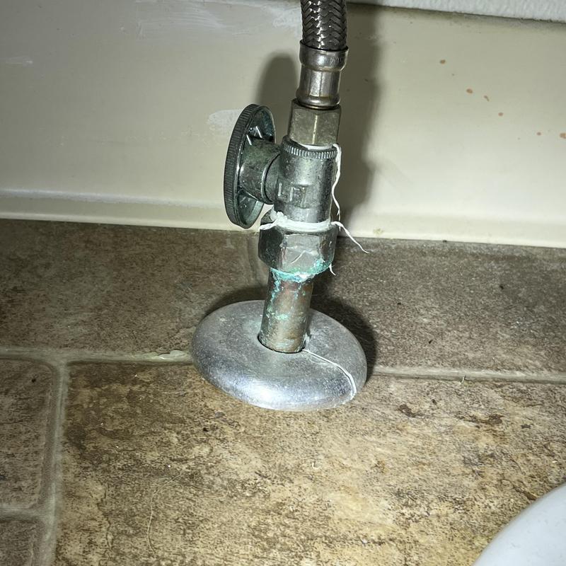 Toilet shut-off valve with supply line and escutcheon plate