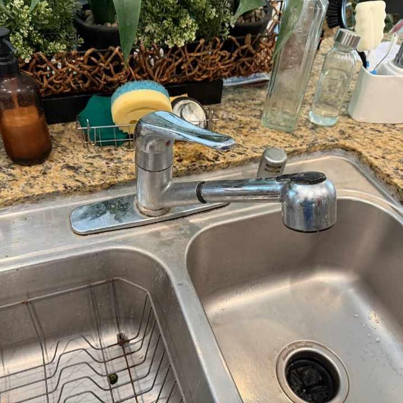Kitchen faucet with dual basin stainless steel sink