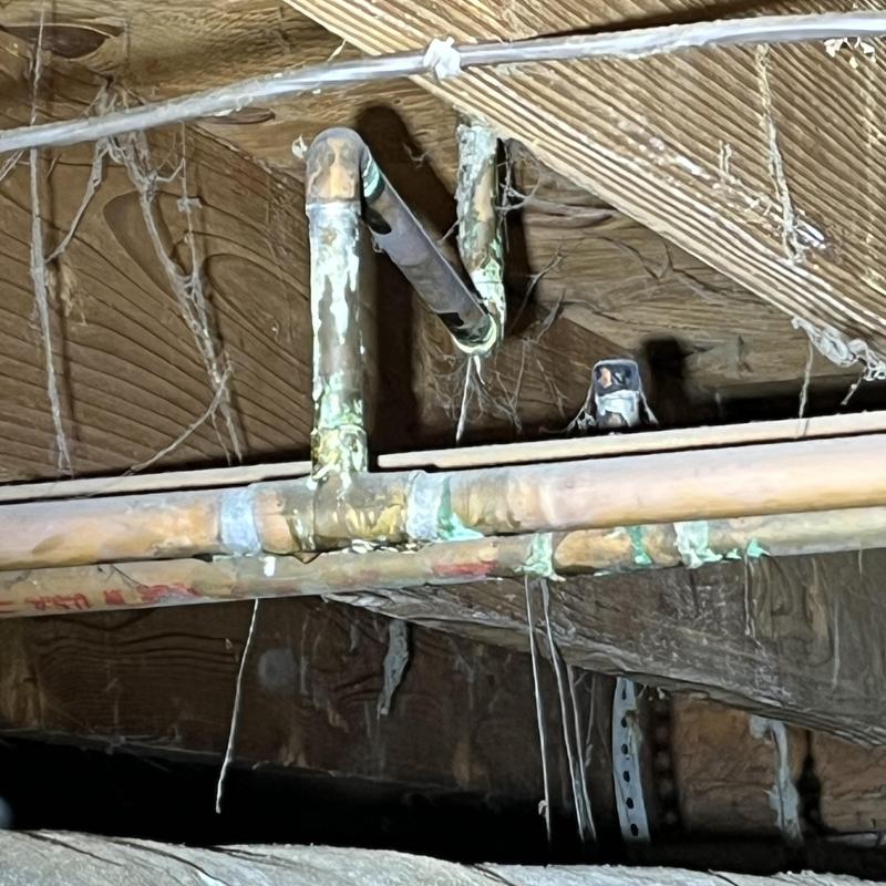 Corroded copper piping and joints in crawlspace Corroded copper piping and joints in crawlspace