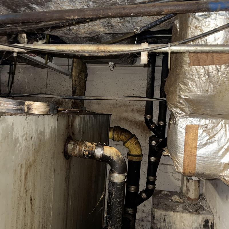 Basement drain line with rusted and insulated pipes
