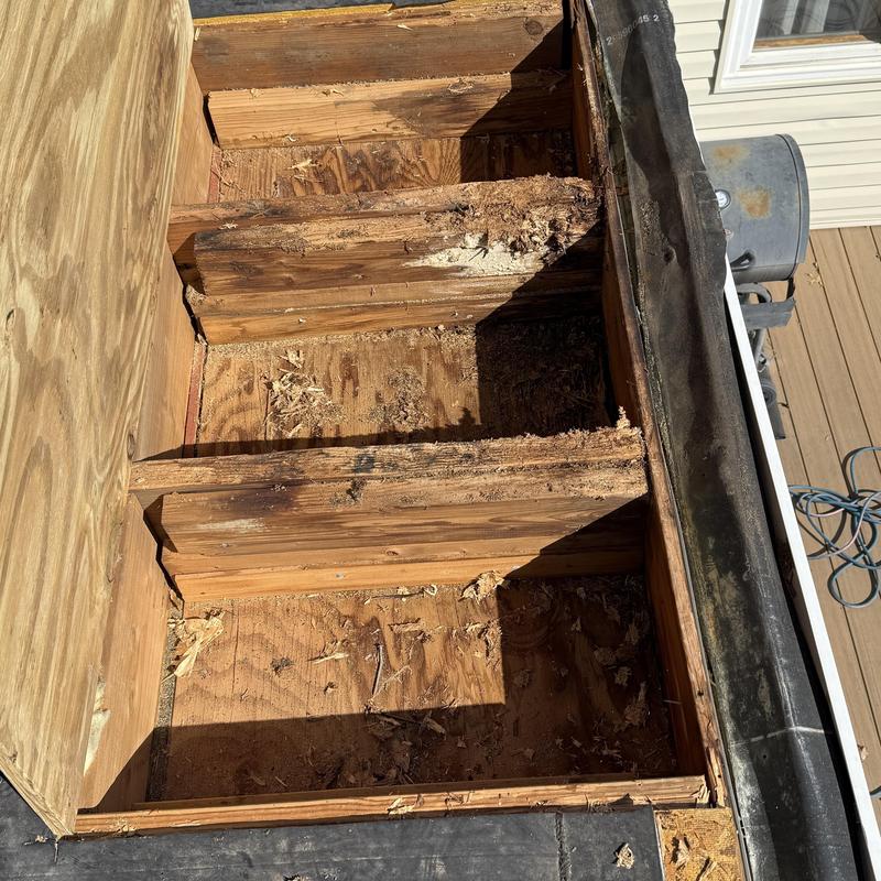 Roof decking with rot damage near eave and gutter edge
