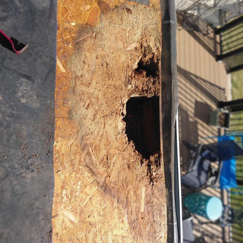 Roof decking with severe rot damage near eave