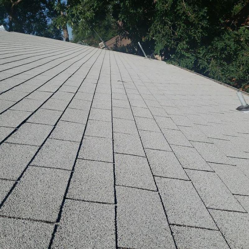 Shingle roof with no hail damage visible Shingle roof with no hail damage visible