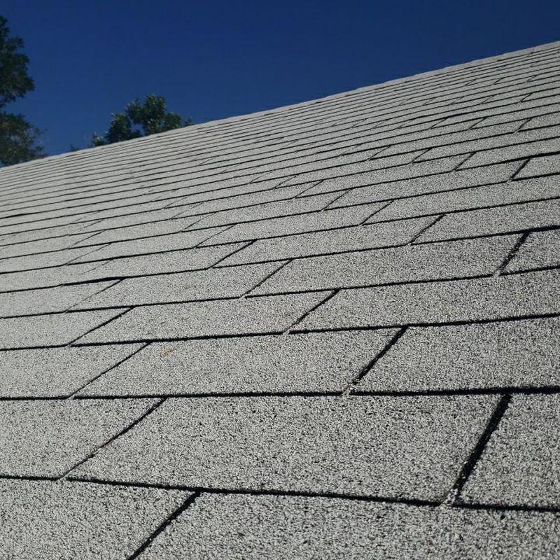 Shingle roof close-up, no hail damage visible Shingle roof close-up, no hail damage visible