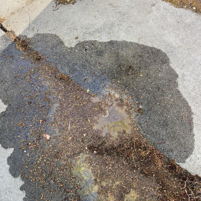 Watermain leak through cracked concrete surface Watermain leak through cracked concrete surface