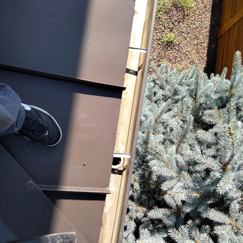 Metal roof panel edges near tree and gutter system Metal roof panel edges near tree and gutter system