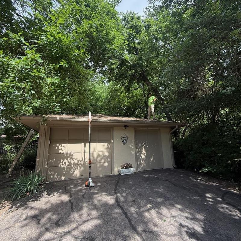Tree limb trimming above garage roof with pole saw Tree limb trimming above garage roof with pole saw