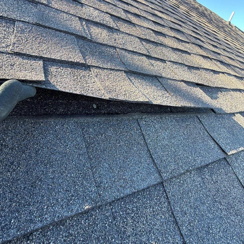 Asphalt Roof Shingles with Visible Lifting and Damage