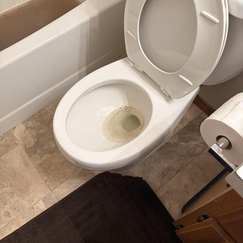 Toilet with partial clog causing backup in bathroom Toilet with partial clog causing backup in bathroom