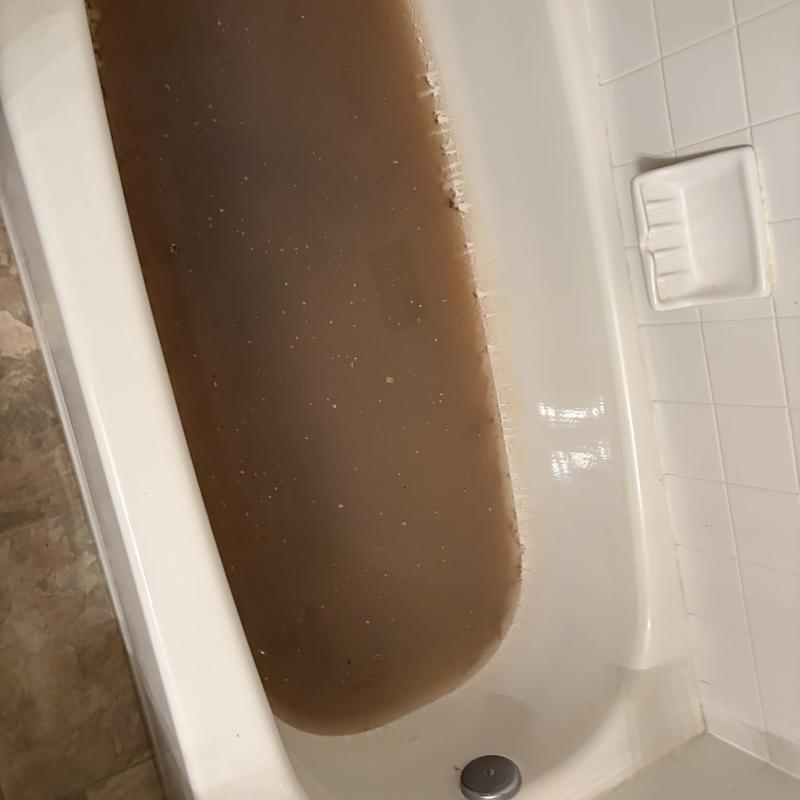 Main sewer backup causing dirty water in bathtub Main sewer backup causing dirty water in bathtub