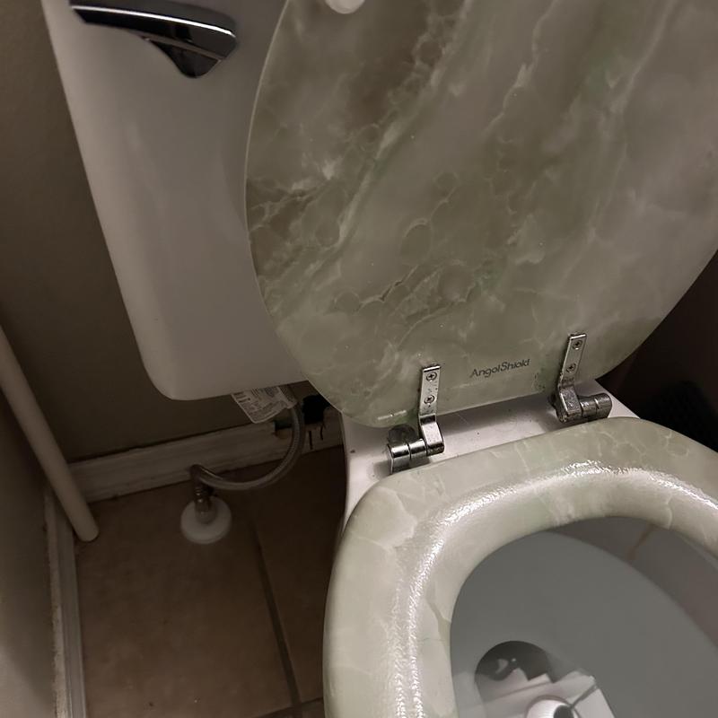 Toilet tank and seat with plumbing connection Toilet tank and seat with plumbing connection