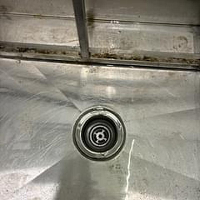 Dog wash sink drain with cleaned opening Dog wash sink drain with cleaned opening
