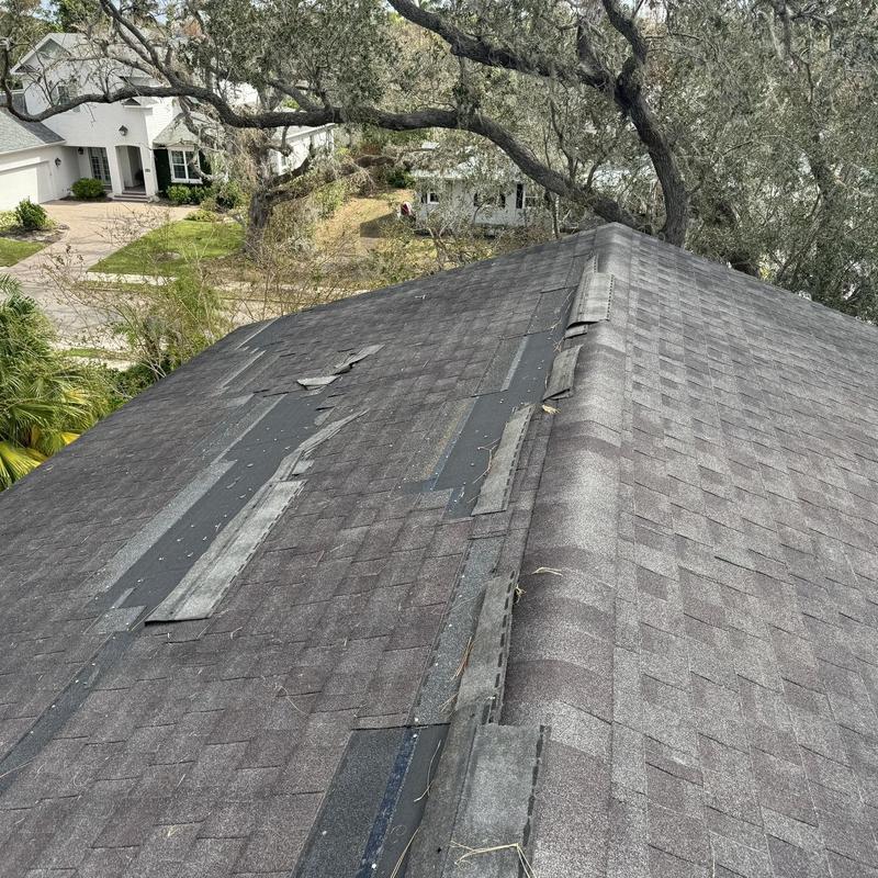 Asphalt shingle roof with storm damage and missing shingles Asphalt shingle roof with storm damage and missing shingles
